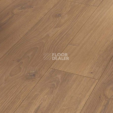 Ламинат Parador Classic 1050 4V 1744697 Дуб Studioline Мед фото 1 | FLOORDEALER